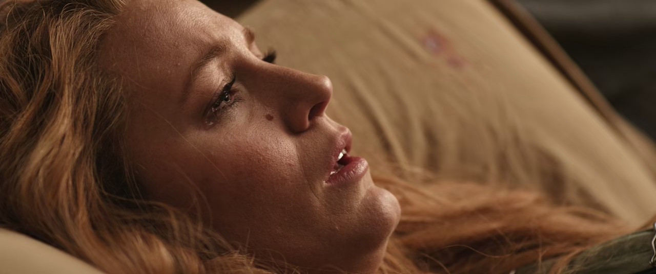 It Ends with Us (2024) WEBRip Hindi + English 720p 10bit HEVC DDP 5.1 MSub.mkv.0003